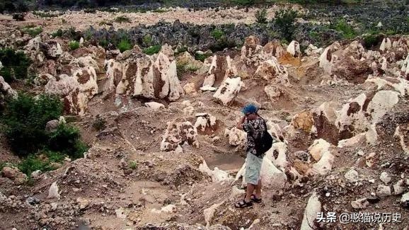 “鸟粪”有什么用？我来告诉你瑙鲁国是靠卖“鸟粪”一夜暴富！