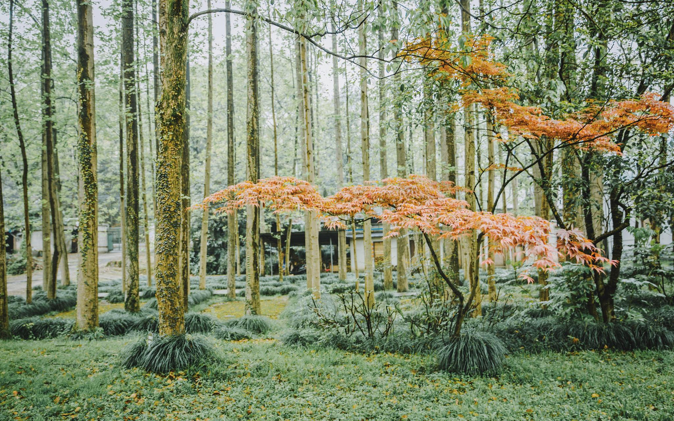 江浙沪藏在桐庐的绿野仙踪,浙江桐庐秘境山水