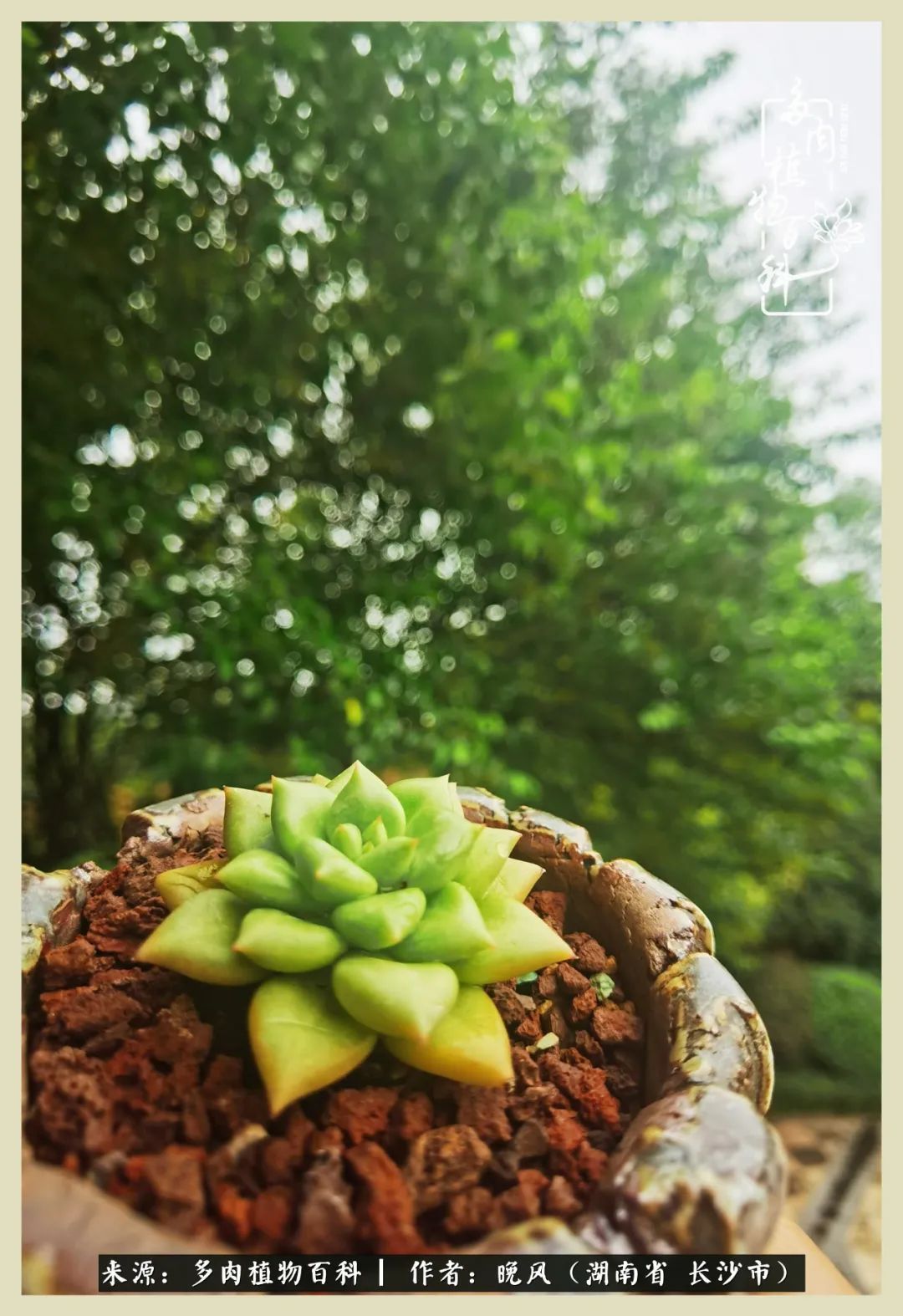 摇身一变成了奶爸,摇身一变成为打工人