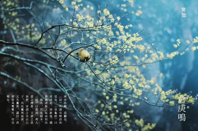 惊蛰节气养生小妙招,惊蛰节气养生小知识大全