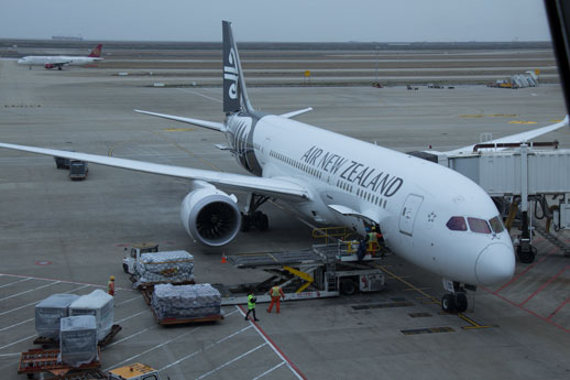 新西兰旅游必备大牌礼物,新西兰旅行攻略完整详细版