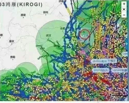 上海为什么叫魔都？上海的这些冷知识，侬晓得伐？