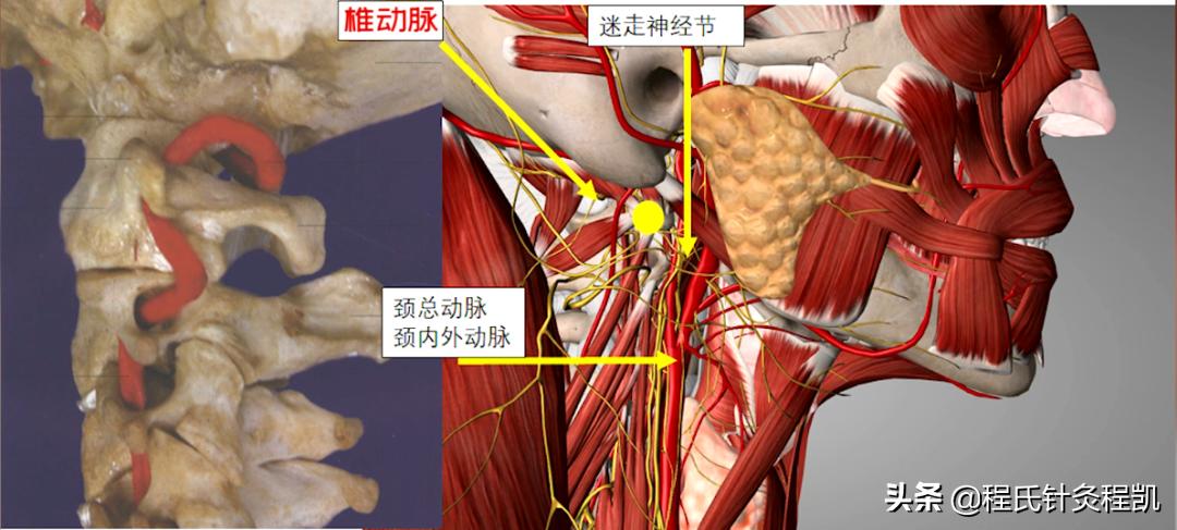 程凯养生说：头昏、眼花、耳鸣就用这个穴位