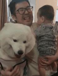 狗子吃醋女朋友,狗子喜欢女朋友怎么办