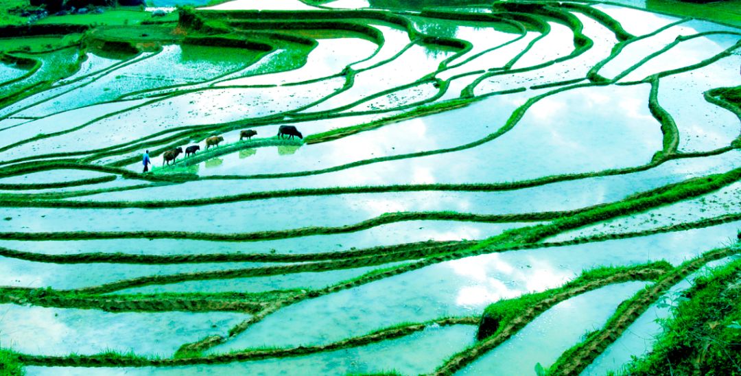 适合看星空露营的地方 (高山露营地绝美的星空)