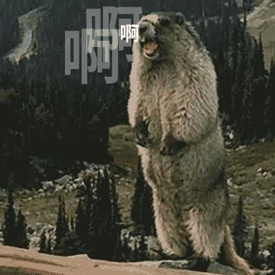 你被关过小黑屋吗？那些年入境过海关的奇葩事