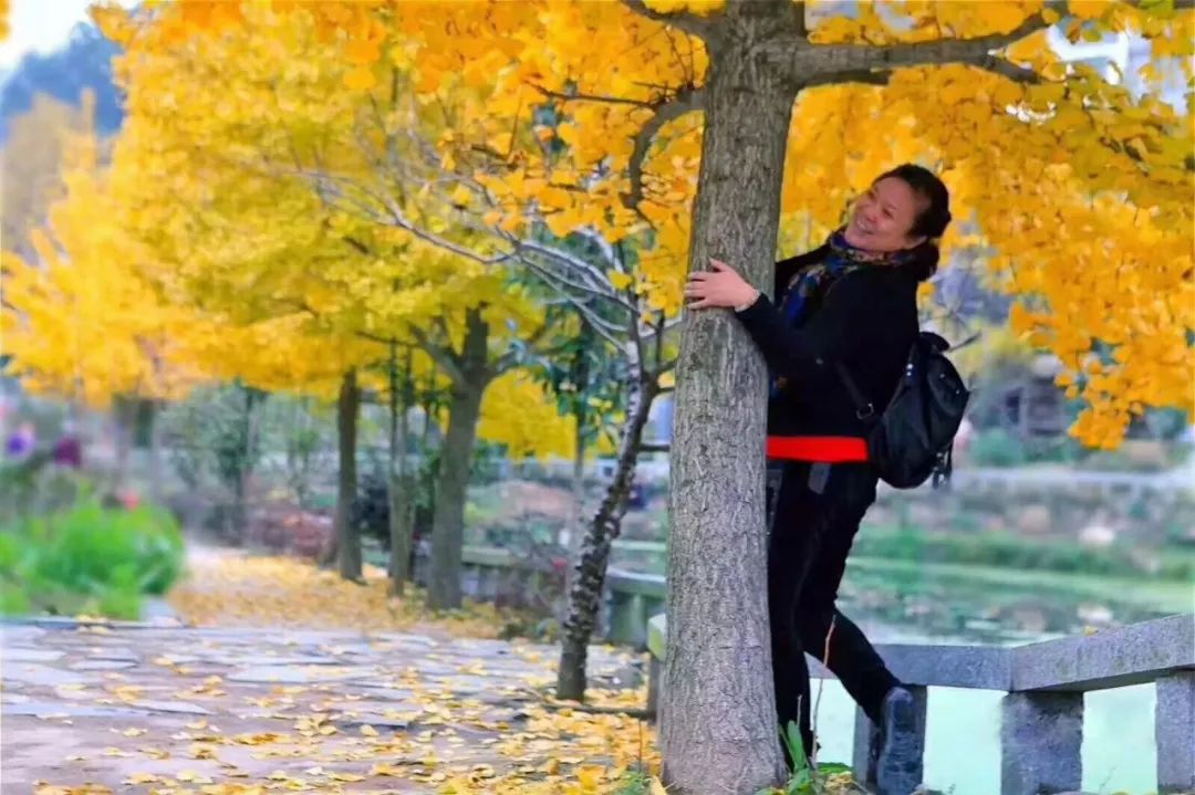 秋天赏枫叶好去处,赏红叶正当时