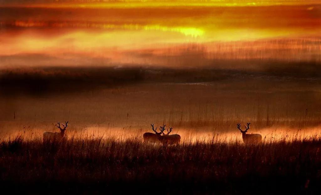 香港第14届全国摄影艺术展,第29届全国摄影艺术展览获奖名单