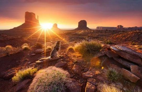 如何面对欲望和生活中的诱惑,如何与自己的欲望和解