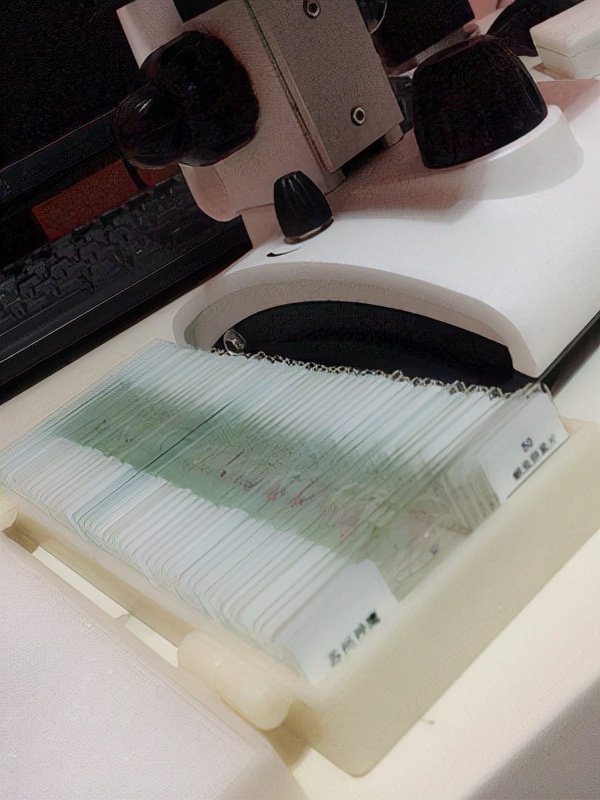 做题手工玩具,男孩子喜欢的益智类玩具推荐