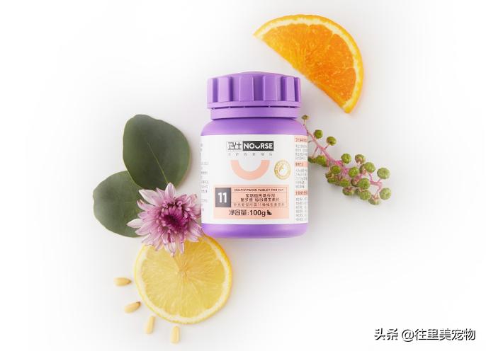 宠物生病可以用什么药,宠物生病必备药品有哪些