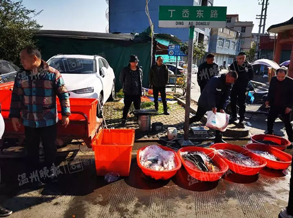 过年买鱼当心！鱼贩往水里加柴油快死鱼竟活蹦乱跳