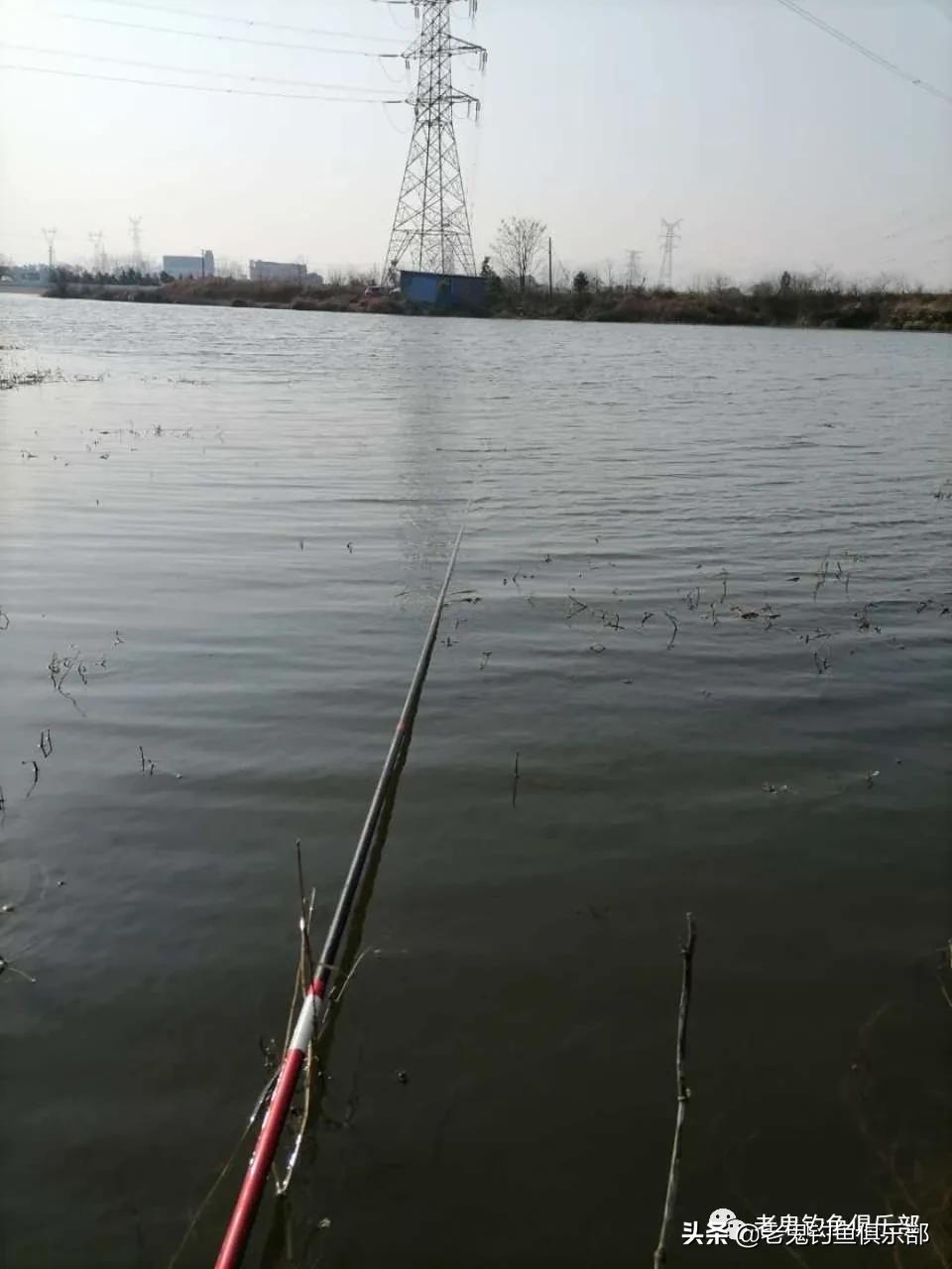 用九一八钓小鱼,九一八野钓鲫鱼视频
