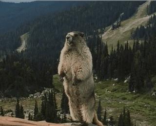 手术台上我无敌，小小塞牙我认怂！外科“一把刀”看牙记