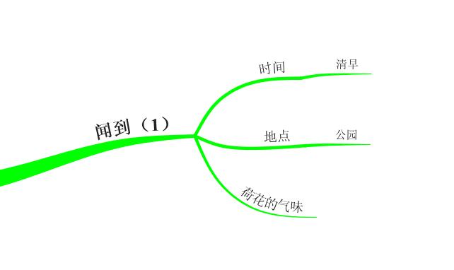 用思维导图学习语文三年级下册《荷花》，仿写《荷花》