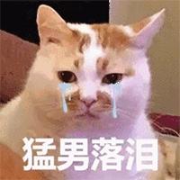 猫咪尿血需要怎么治疗,猫咪尿血有什么治疗方法