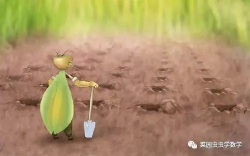 菜园虫虫学数学：种豆苗（植树问题）