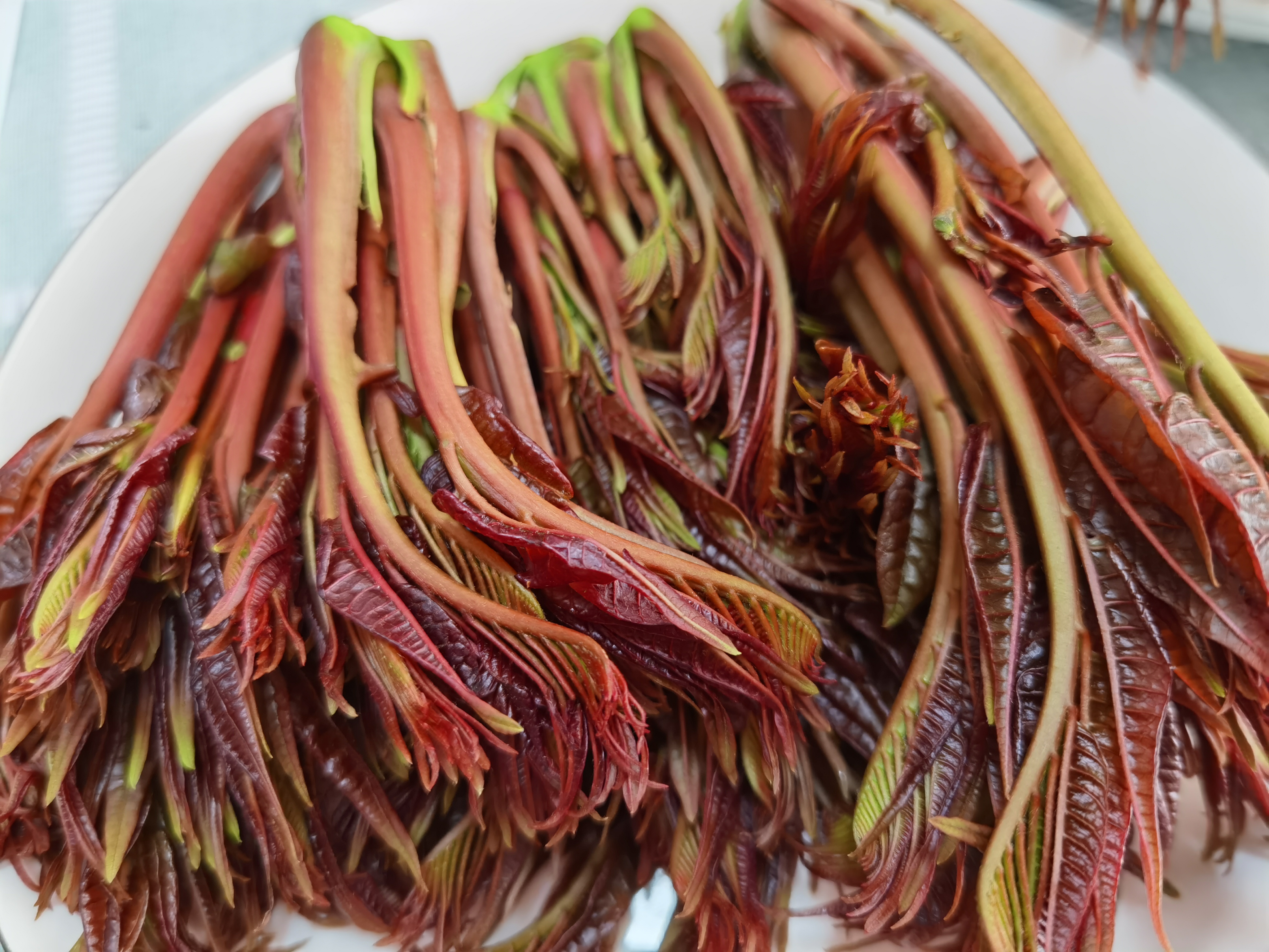 吃香椿有什么好处怎么吃最好,春天吃香椿芽的功效与作用