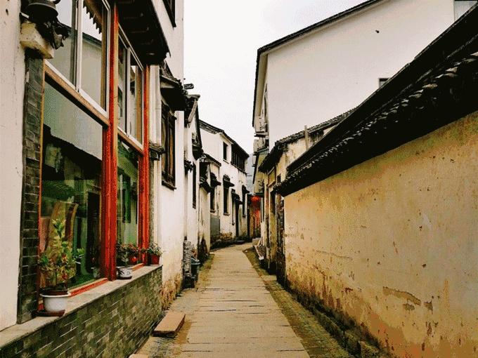 做过苏州东山的采茶女，我才品出了这世间的甘甜