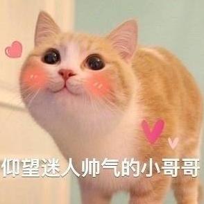 荒野乱斗踢足球比赛,荒野乱斗大巴黎挑战赛用什么英雄