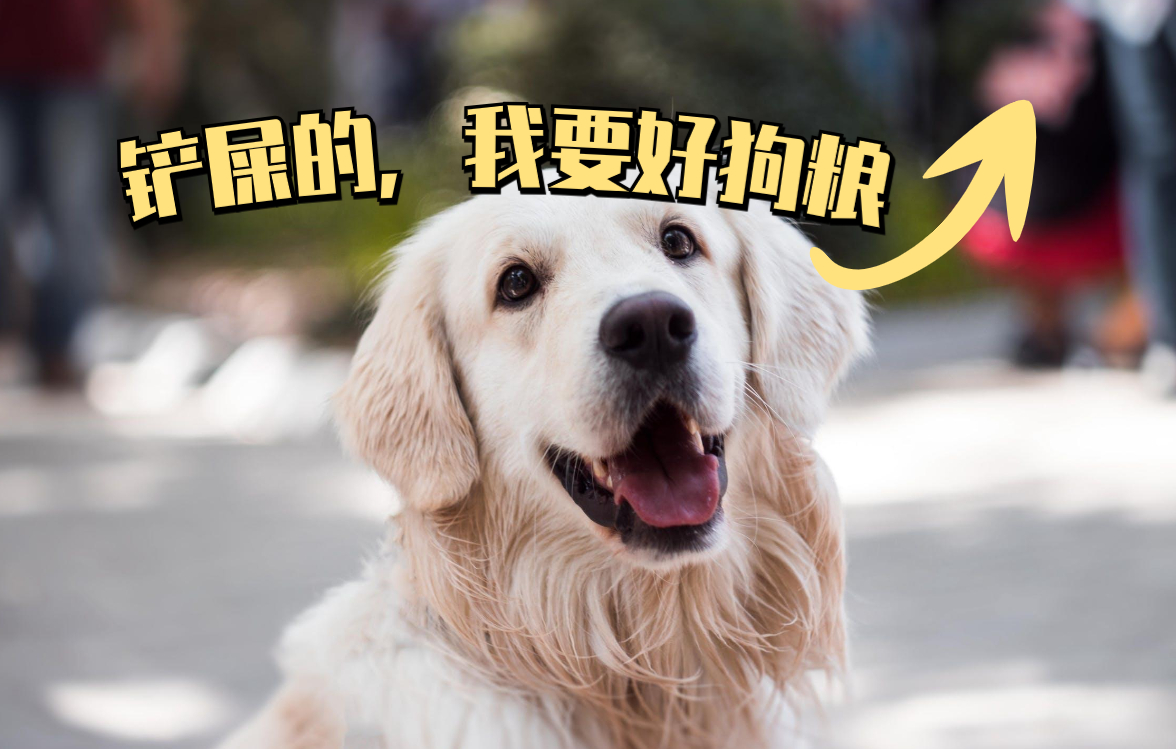 为什么这些狗狗当不了警犬，大型“反间计”现场