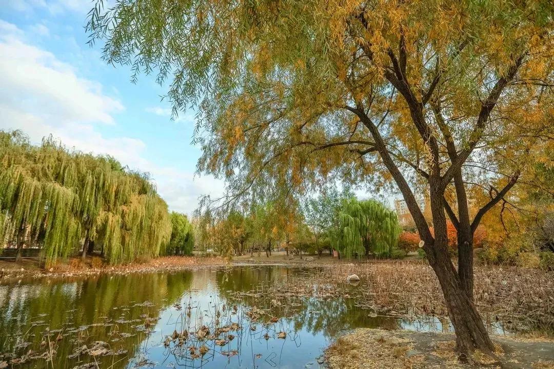 辽宁航空航天大学是211吗,院校介绍辽宁篇沈阳航空航天大学