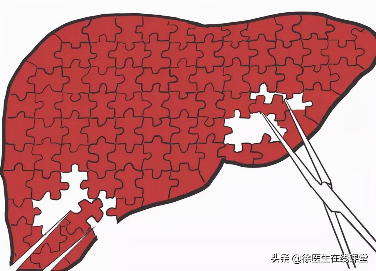 乙肝病毒携带者需要过分担心,乙肝携带者能过日子吗