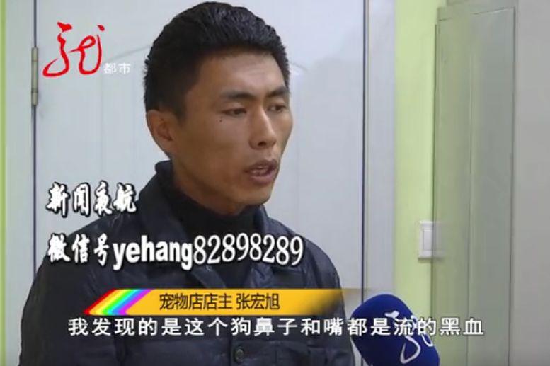 为什么宠物狗打了疫苗还会得病,宠物狗打了疫苗为什么会死