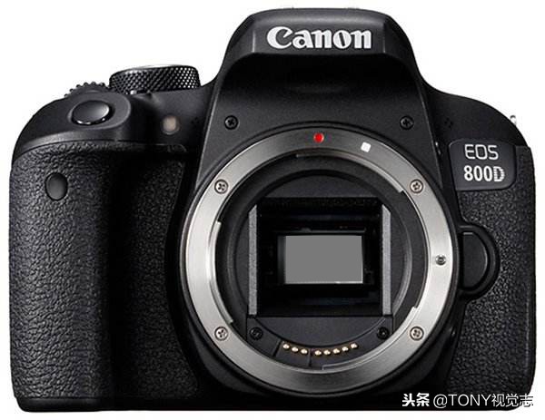 佳能尼康!新手选单反相机,推荐这几款机型,你get到了吗