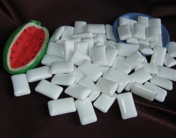 一个主人很久没有给狗喂食物,雪纳瑞拒绝喂食