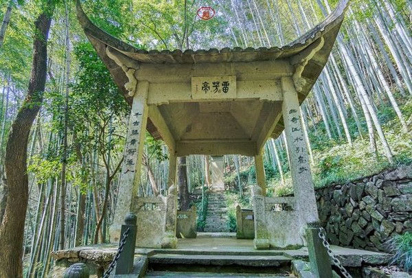 桐庐夜游富春山居景区,桐庐富春江夜游和白天游