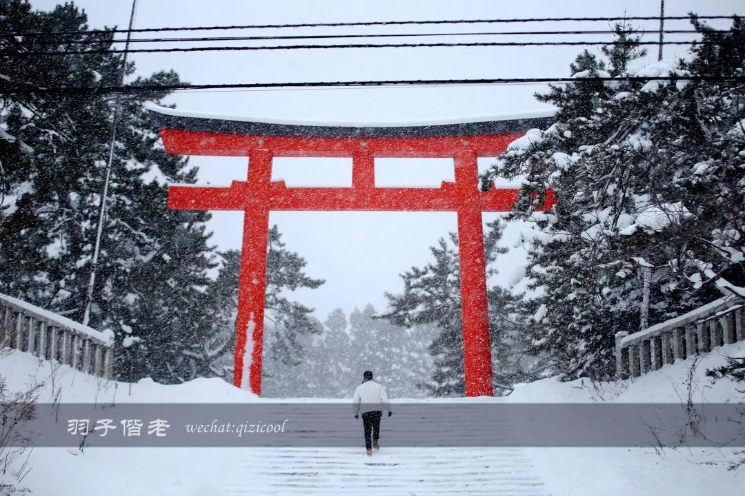 日本10天自由行费用北海道,东京北海道5日自由行攻略