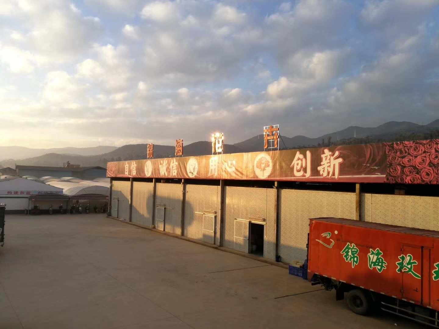 云南省通海县骄阳花卉种苗专业合作社风采（组图）