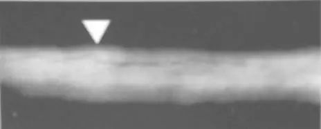 焊缝超声波探伤检测演示,史上最全的关于焊缝检测的知识点