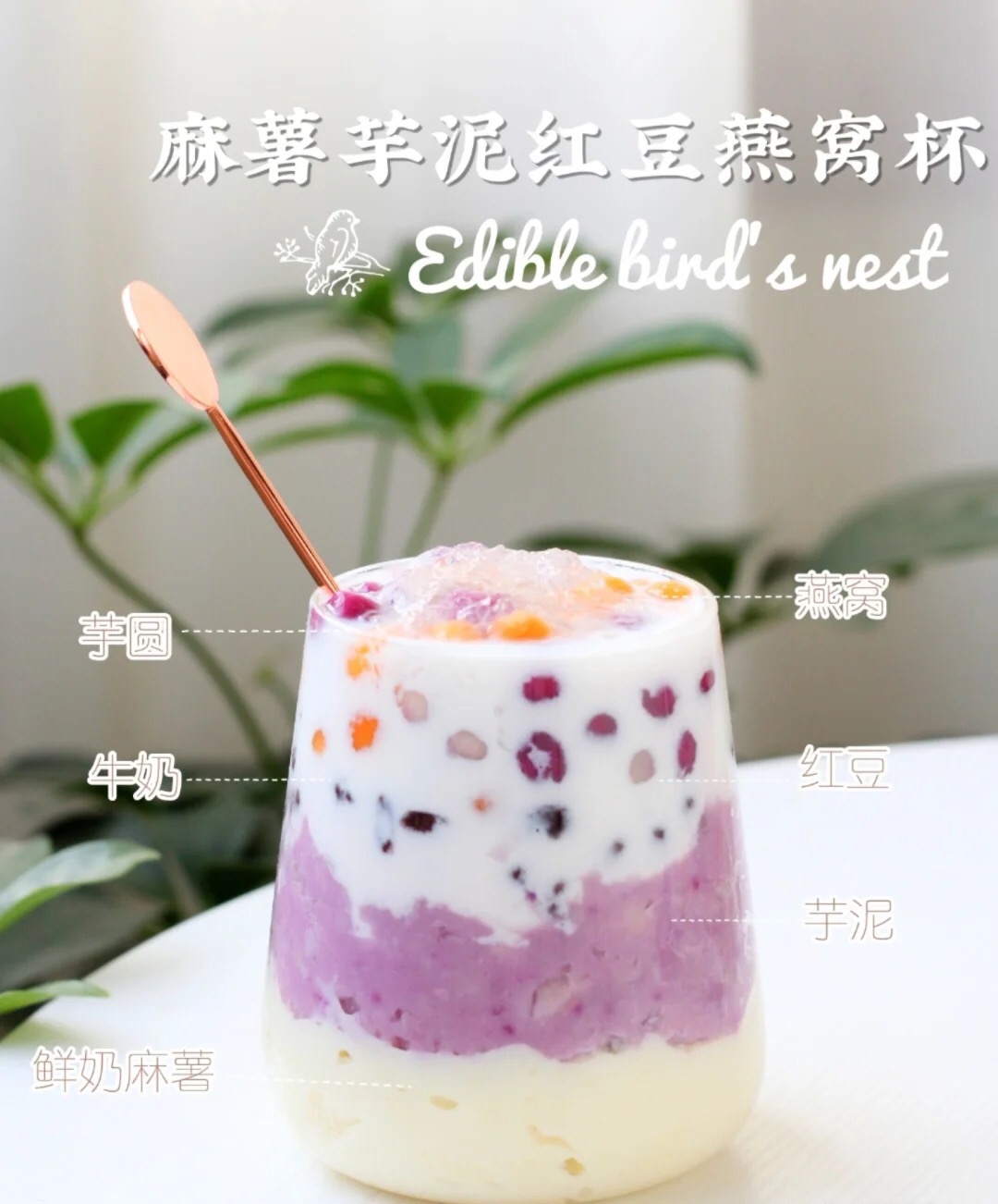 这条炖燕窝的弯路，你走过了吗？