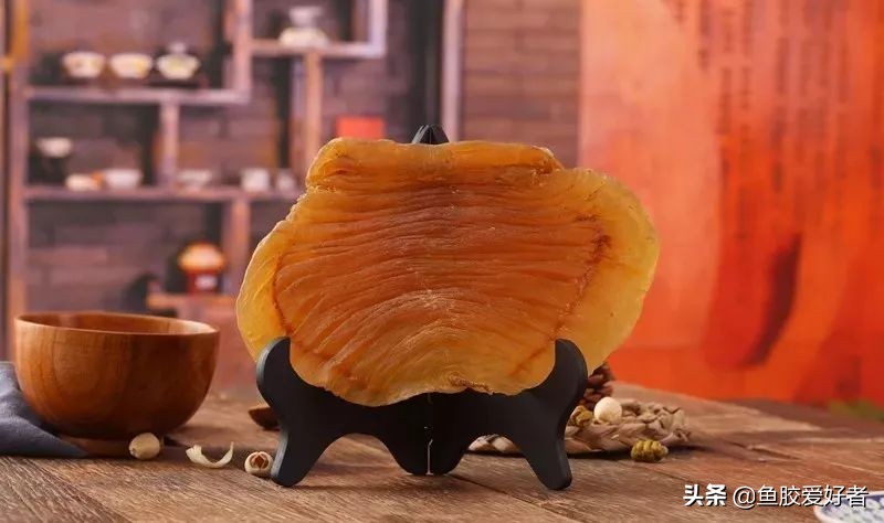 鱼胶花胶常识,鱼胶花胶介绍大全