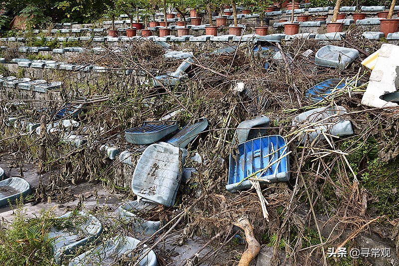 重庆力帆足球现状,重庆力帆足球场现状
