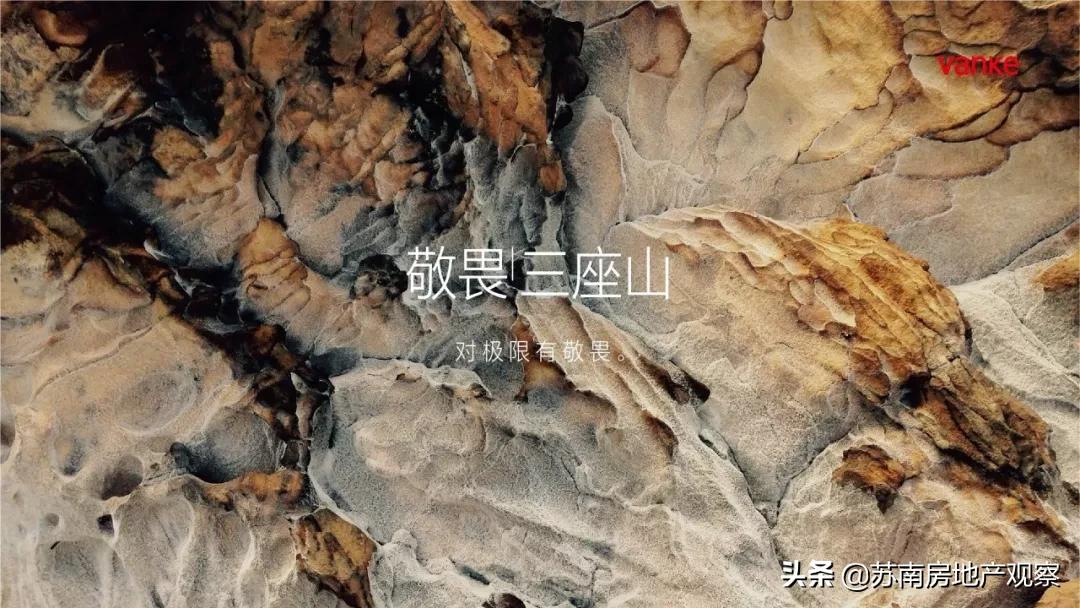 万科能不能入手,万科热销