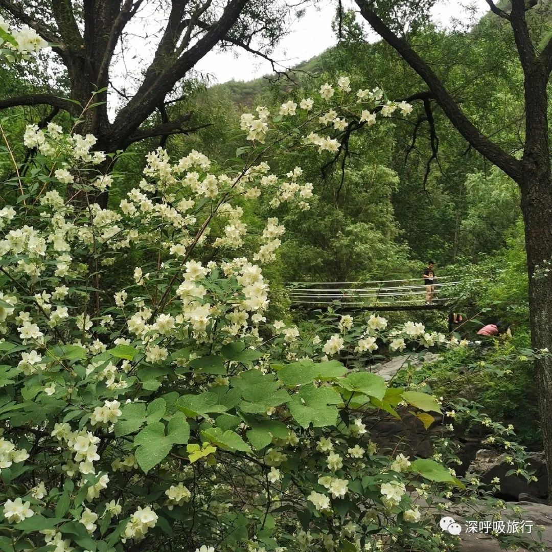 靖西双龙峡网红小火车,京西小九寨二日游
