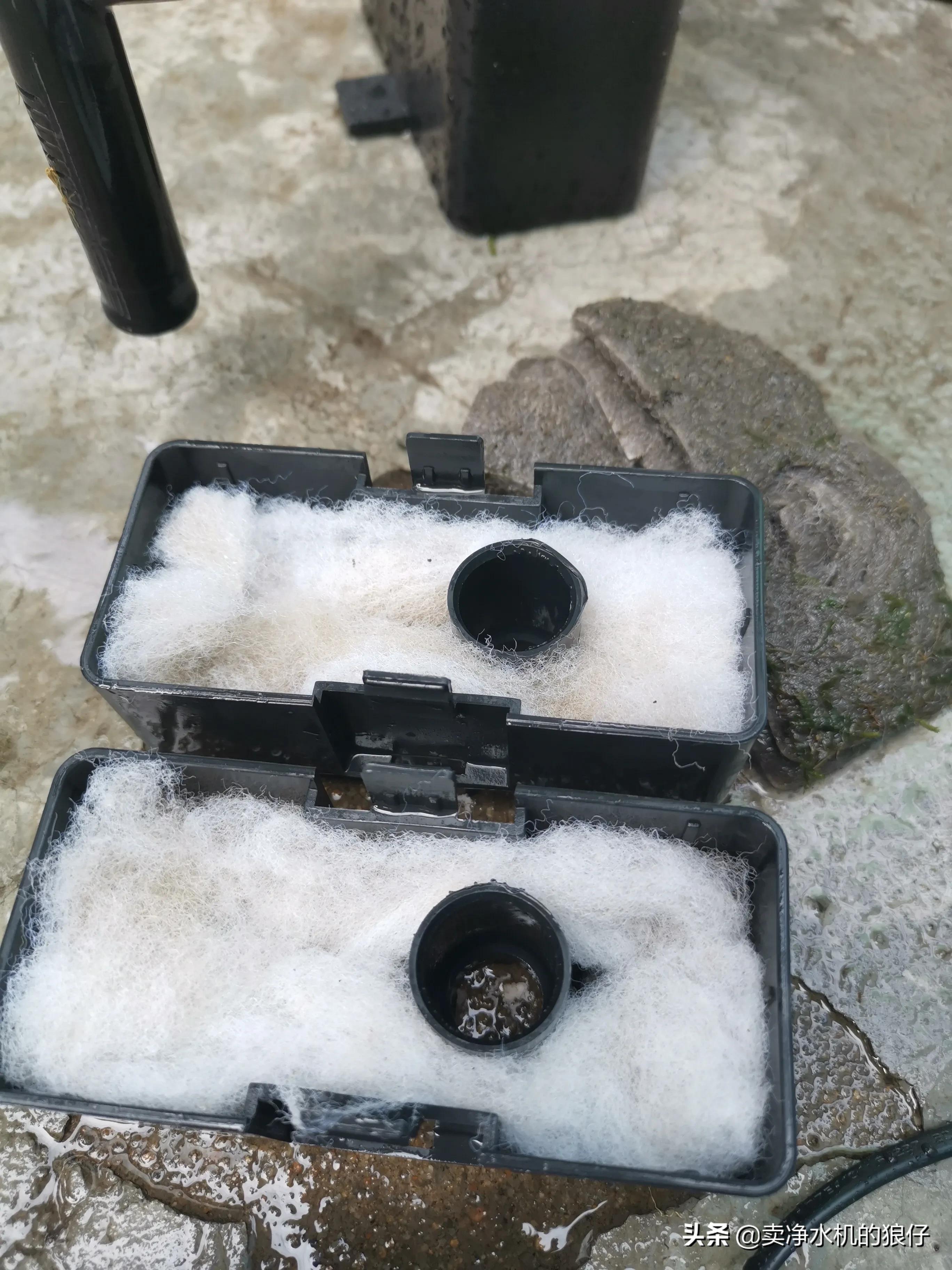 鱼缸过滤器没反应是哪里出现问题,布隆过滤器失效