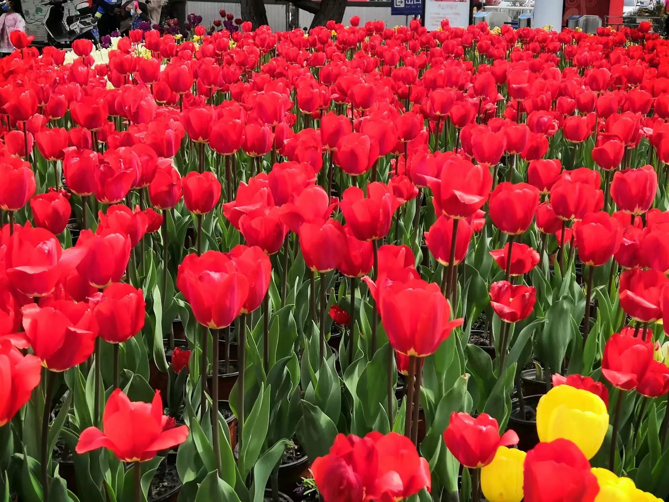 严防死守筑牢防溺水安全防线,防溺水很重要安全二字要记牢