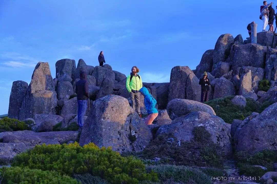 去哪里旅游可以看南极企鹅,旅游攻略南极看企鹅
