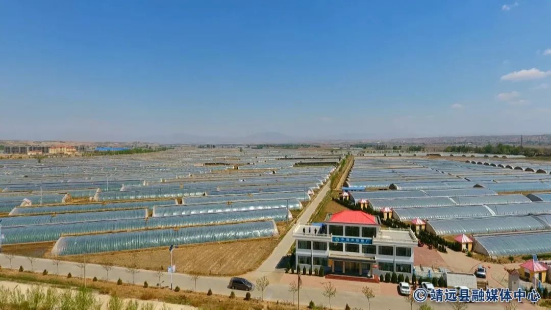 闈栬繙鍘挎渶鏂板ぇ浜嬩欢,2019闈栬繙鏂伴椈