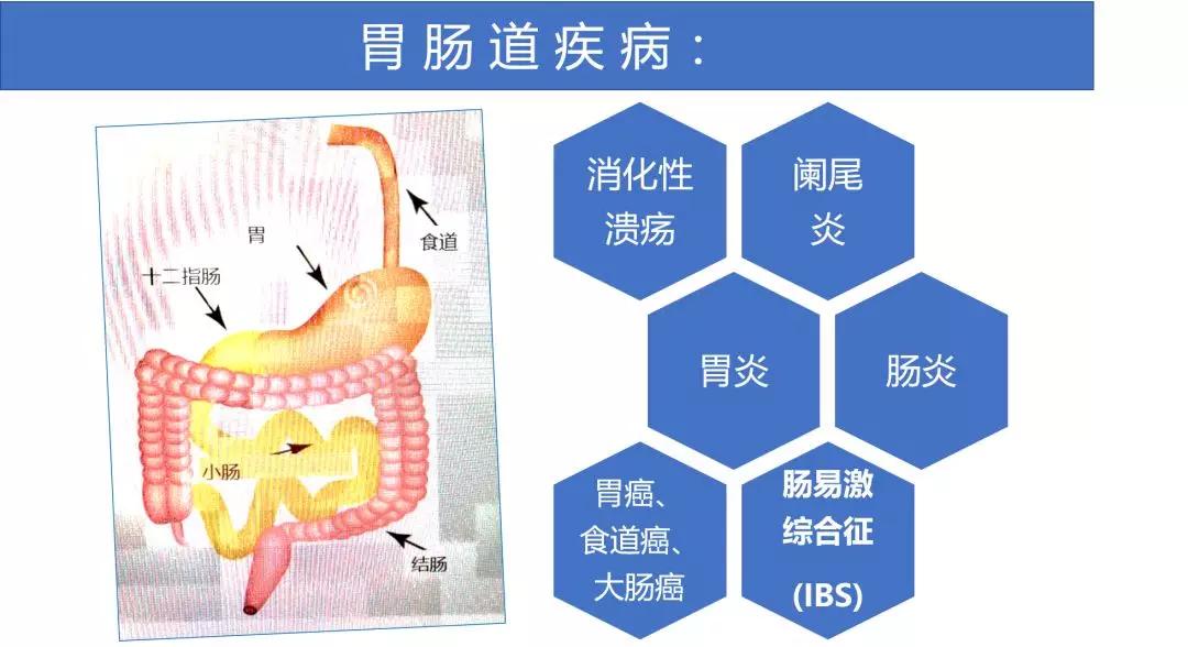 ibs肠易激综合征老是放屁,ibs肠易激综合征可以吃米线么
