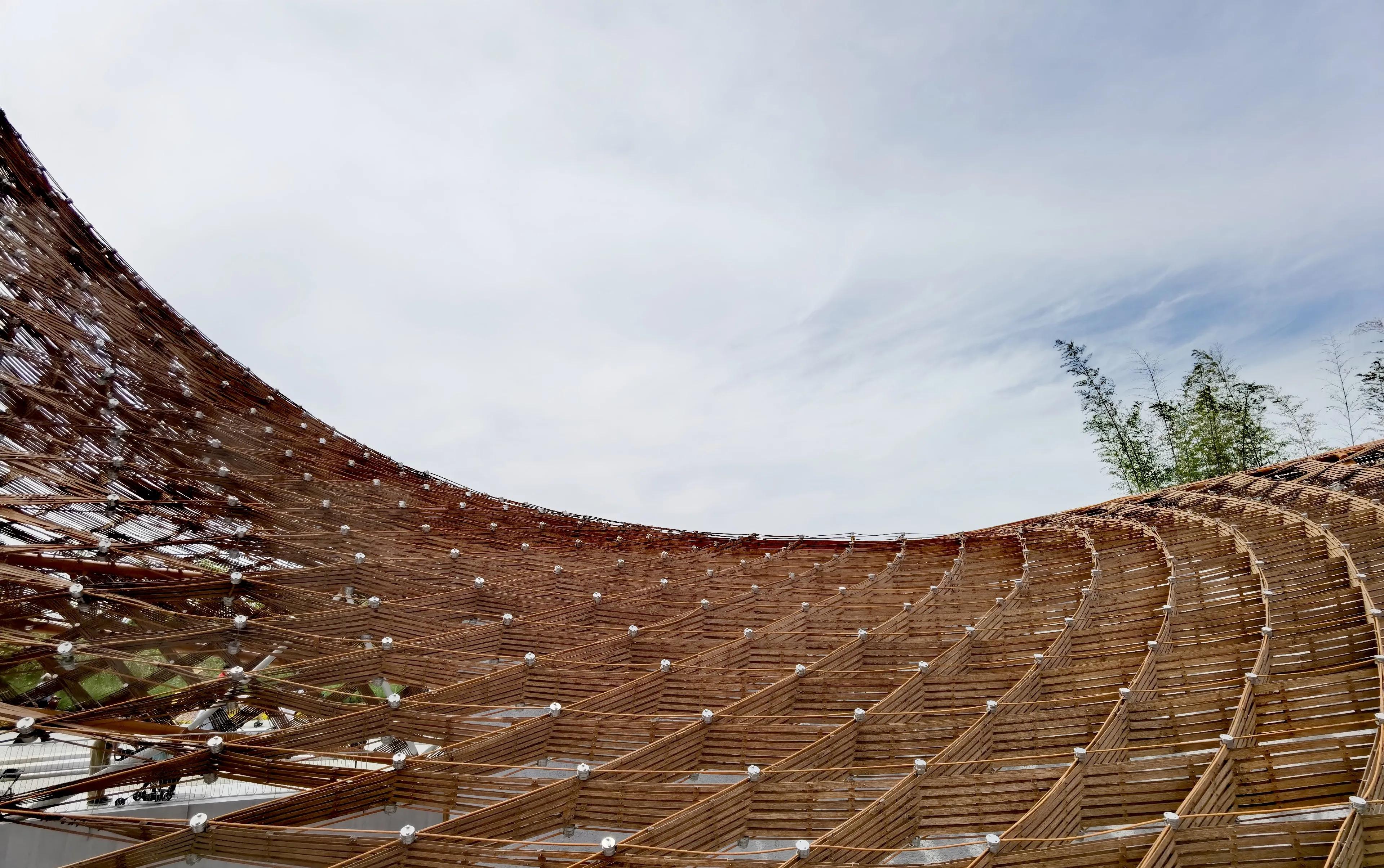 关于崇明花博会,崇明花博会全程花景