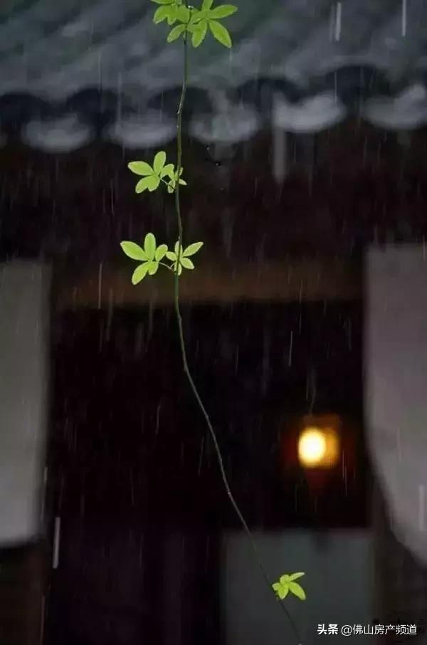 晨读|秋从何处来?