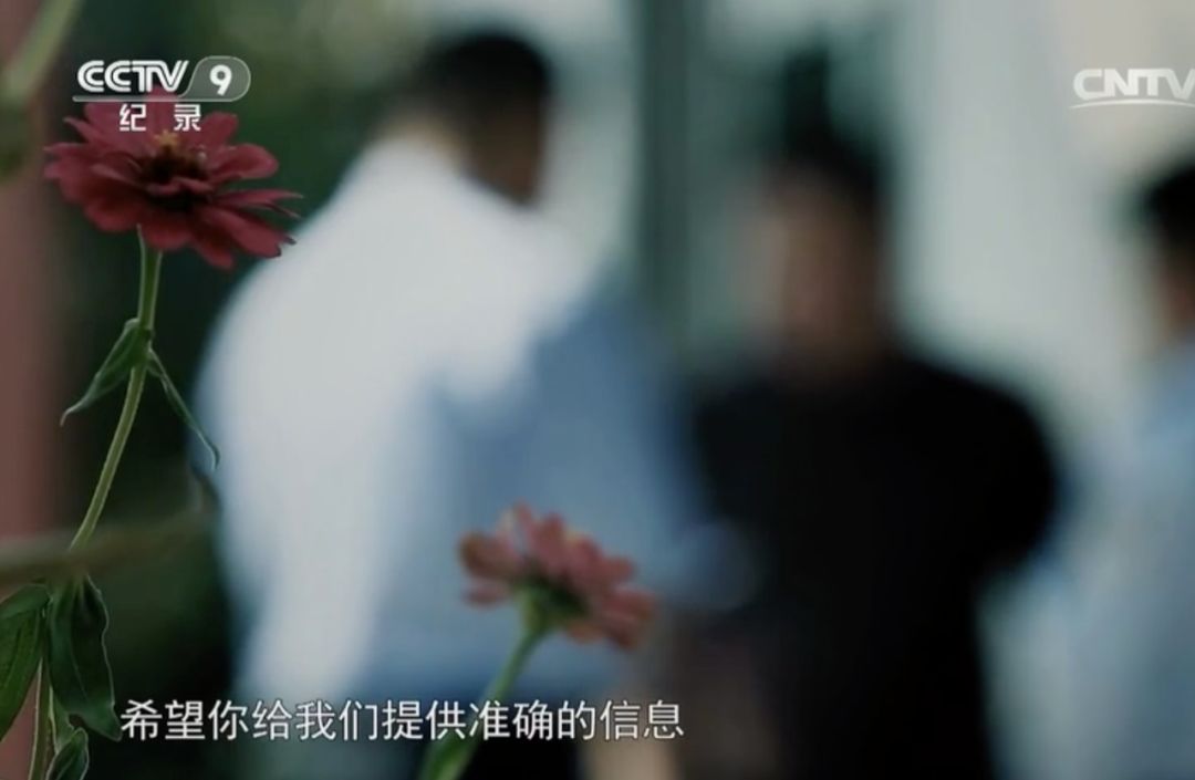 成功处理尸体,专业人士处理尸体