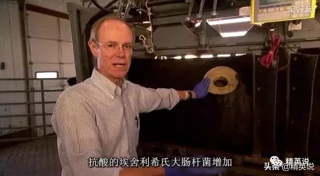 因为一个汉堡,她亲眼看着儿子死去!美国吃的食物到底有多脏...