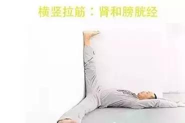 阿强拍打拉筋全身经络视频教程,拉筋基本动作入门