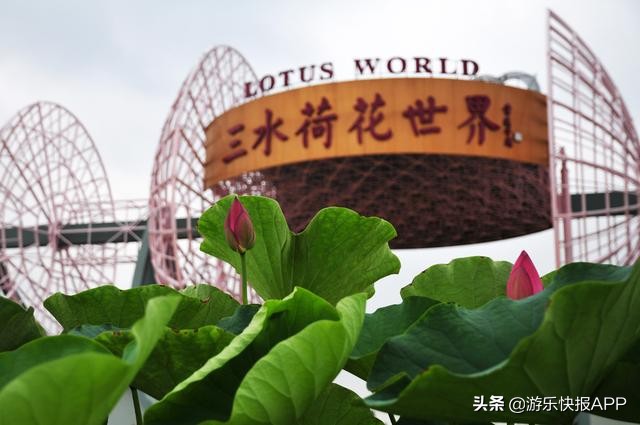 广州附近旅游景点推荐一日游免费,广州附近旅游景点推荐免费一日游